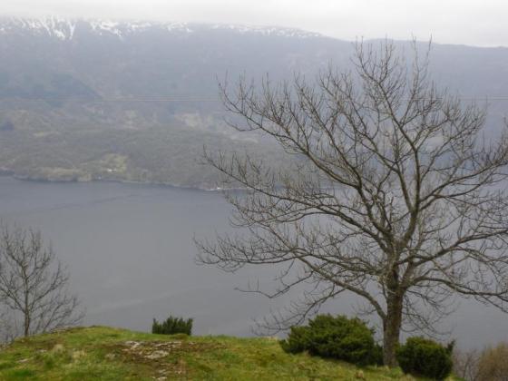 Klikk p� bilete for full storleik