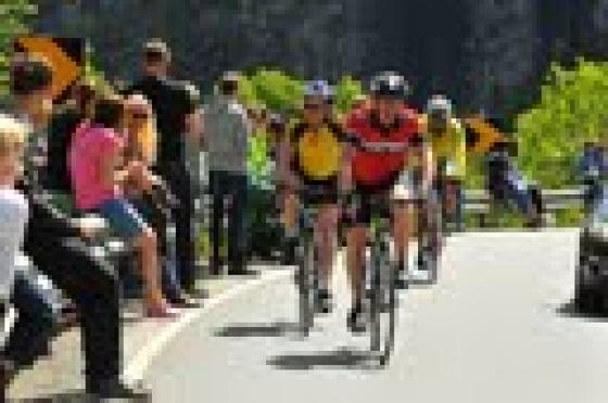 Klikk p� bilete for full storleik