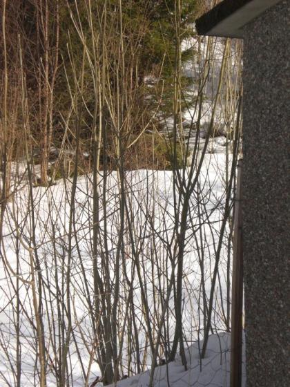 Klikk p� bilete for full storleik