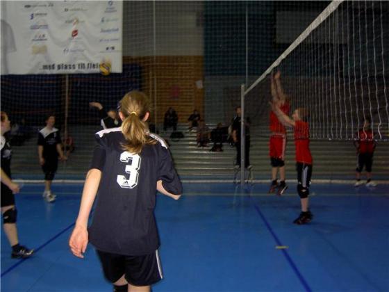 Klikk p� bilete for full storleik