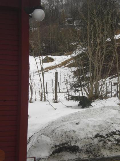 Klikk p� bilete for full storleik